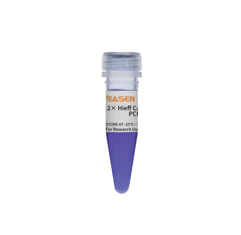 Yeasen Hieff Canace™ Veritas High Fidelity Long PCR Master Mix (With Dye)