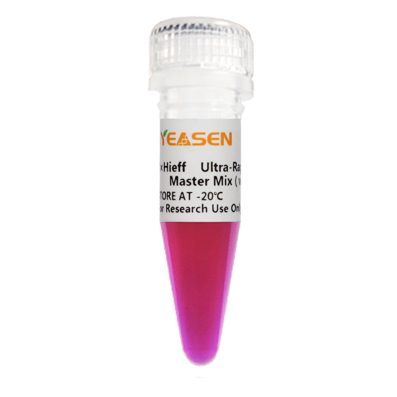 Yeasen 2× Hieff™ Ultra-Rapid II HotStart Universal PCR Master Mix