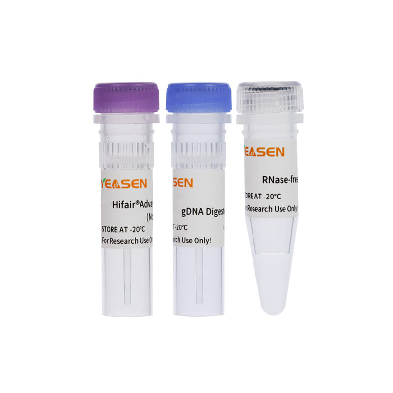 Yeasen Hifair™ AdvanceFast 1st Strand cDNA Synthesis SuperMix for qPCR (gDNA digester plus)