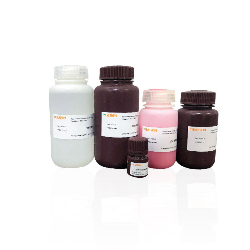 PAGE Gel Quick Preparation Kit (12.5%) product pack