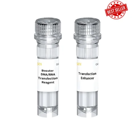 Yeasen Hieff Trans™ Booster DNA/RNA Transfection Reagent