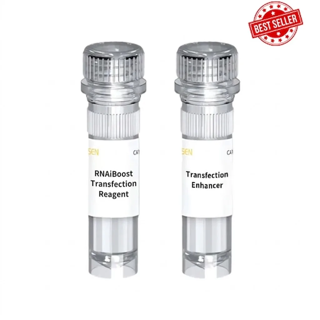 Yeasen Hieff Trans™ RNAiBoost Transfection Reagent