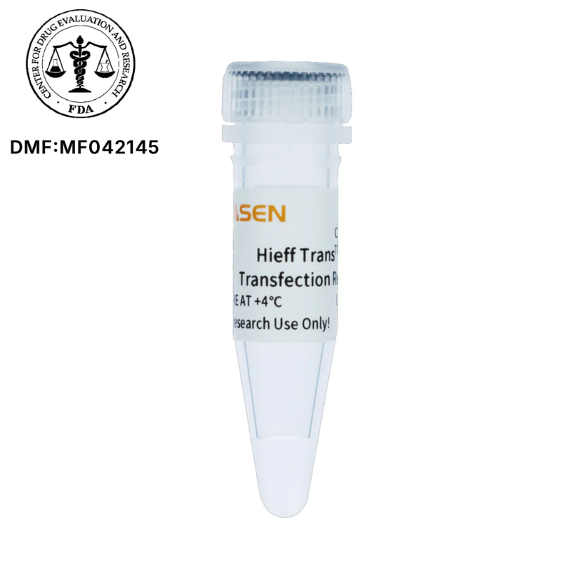 Yeasen Hieff Trans™ UltraAAV Transfection Reagent (PEI)