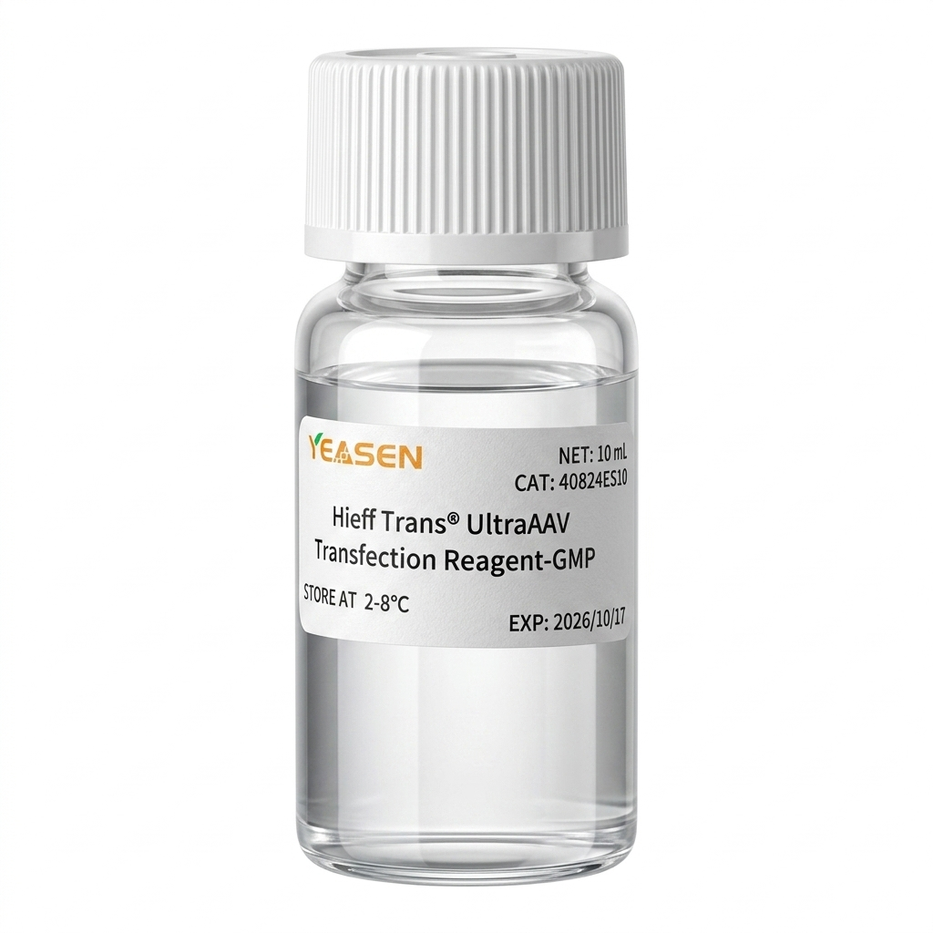 Yeasen Hieff Trans™ UltraAAV Transfection Reagent (PEI, GMP grade)