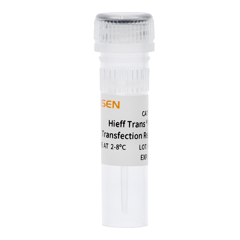 Yeasen Hieff Trans™ UltraLV Transfection Reagent (PEI)
