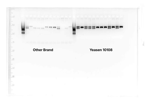 Customer Feedback figure 1