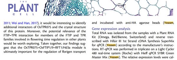 Cited from"The tetratricopeptide repeat protein OsTPR075 promotes heading by regulating florigen transport in rice. Plant Cell. 2022 Sep 27;34(10):3632-3646. doi: 10.1093/plcell/koac190."