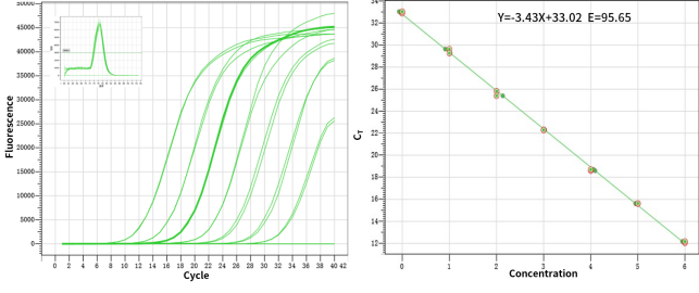 Figure 1. High sensitivity: the ability to detect a single copy.