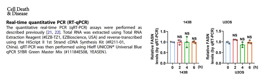 Cited from "VCP enhances autophagy-related osteosarcoma progression by recruiting USP2 to inhibit ubiquitination and degradation of FASN, Cell Death & Disease, volume 15, Article number: 788 (2024) "