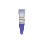 Hieff Canace™ Veritas High Fidelity Long PCR Master Mix (With Dye) product pack