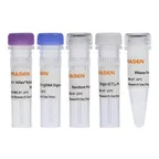 Hifair™ AdvanceFast 1st Strand cDNA Synthesis Kit (No Dye) product pack