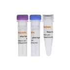 Hifair™ AdvanceFast 1st Strand cDNA Synthesis SuperMix for qPCR (gDNA digester plus) product pack